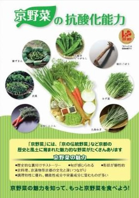 冊子「京野菜の抗酸化能力」